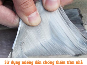 su dung mieng dan chong tham tran nha